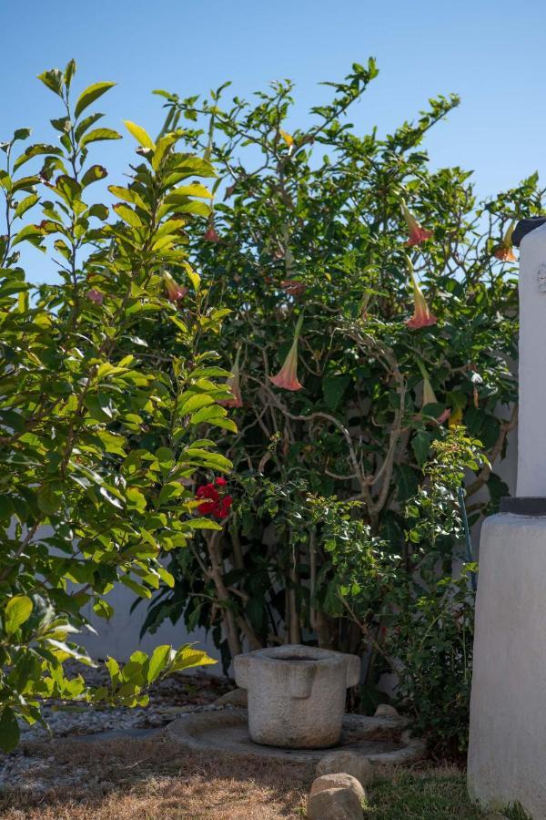 Los años locos - Levante y Poniente Conil De La Frontera Exterior foto